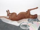 Cirneco Photo